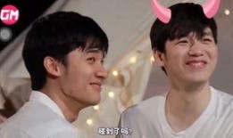 帆爷爆料少爷是真的吗视频,少爷身份揭秘，真相究竟如何？