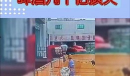 啤酒最新爆料视频播放,口感升级，品牌新动向