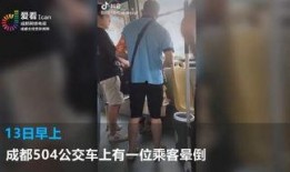 公交车小姐姐爆料视频,揭秘日常生活中的温馨瞬间