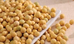 吃瓜小黄豆视频下载免费,免费视频下载攻略大公开