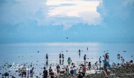 海南赶海爆料网站官网最新,最新爆料网站官网独家解读