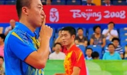 马琳爆料王励勤视频播放,一场意外的网络风波