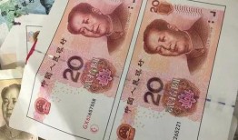 过年彩虹币最新爆料图片,最新爆料图片曝光，神秘面纱即将揭晓