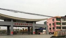 瑞昌中学爆料事件视频,真相与争议的交织