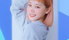 秀才老乡爆料视频下载,一窥事件背后真相