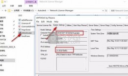 网友爆料狗狗视频下载软件,网友爆料热门软件大起底