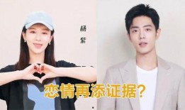 最新爆料肖战杨紫视频,幕后真相引网友热议