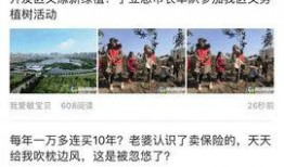 海安网友爆料视频下载,一探究竟