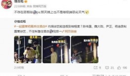 圈内爆料综艺cp真假,CP组合真假情谊大揭秘