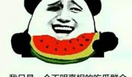 吃瓜群众瓜哥网红叫什么,揭秘吃瓜群众的瓜界传奇