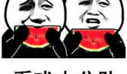 娱乐吃瓜音乐叫什么来着,揭秘流行乐坛的“瓜田”奇闻