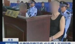 嫌疑人庭审爆料流程视频