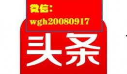湛江今日头条新爆料