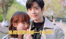 最新爆料肖战杨紫视频,幕后真相引网友热议