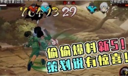 火影德鲁伊爆料视频下载,揭秘忍者世界背后的神秘力量