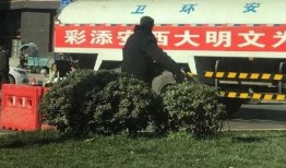 陕西今日爆料,聚焦热点事件，揭秘幕后真相