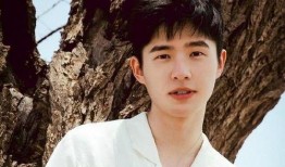 刘昊然娱乐圈爆料,揭秘明星幕后故事