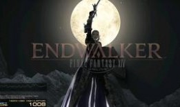 飞哥爆料视频大全集,揭秘幕后真相，带你领略风云变幻