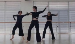 网友爆料跳舞视频大全,舞蹈视频大全，精彩瞬间尽收眼底