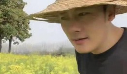 演员徐海爆料视频,娱乐圈幕后真相大曝光