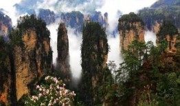 张家界新闻爆料热线官网,实时掌握张家界最新动态