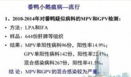 美国病毒研究室爆料视频,揭露病毒起源惊人真相