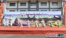 襄阳宜城新闻爆料,突发事件引发关注，详情即将揭晓