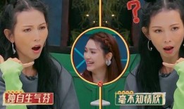 洪欣正版在线观看,重温经典，感受影视魅力
