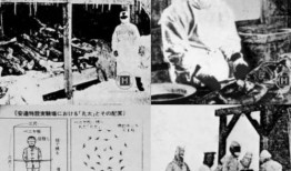 731部队在线观看,在线观看揭示的战争罪行与历史真相