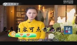 在线观看江苏综艺频道,精彩节目在线观看，娱乐生活新体验