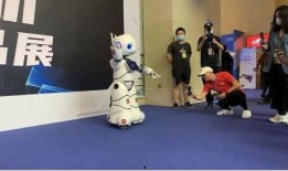 小华佗被爆料了吗视频,揭秘神秘事件背后的真相