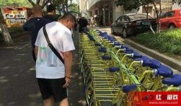 单车爆料视频大全最新版,最新版精彩瞬间大盘点