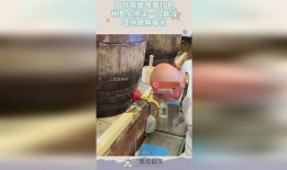 啤酒最新爆料视频播放,口感升级，品牌新动向