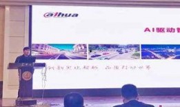 最新圈内爆料大华股份,圈内爆料揭示企业新动向
