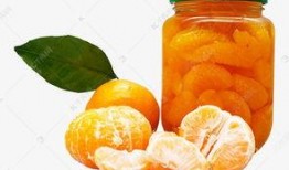 桔子罐头爆料方法视频,揭秘独家爆料视频教程