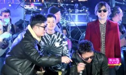 综艺五哈爆料视频大全集,揭秘明星幕后趣事与真实情感