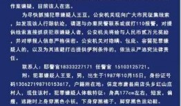 河北唐县爆料新闻事件真相,真相与真相背后的故事