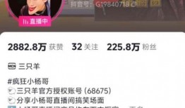 爆料李仙仙被骂视频大全,网络暴力现象再引关注