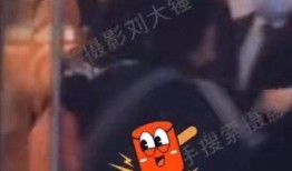 刘大锤今日爆料直播回放,今日爆料精彩瞬间回顾