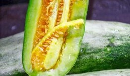 茂名网红吃瓜,揭秘网络红人的幕后故事