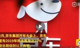 京东内部员工爆料最新,揭秘电商巨头背后的秘密与变革