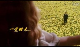 青春忏悔在线观看,回忆与救赎的青春之旅