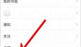 头条极速版如何爆料视频,头条极速版爆料视频轻松制作指南