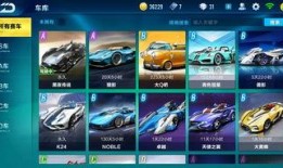 飞车近期爆料视频下载安卓,激战升级，畅享速度与激情！