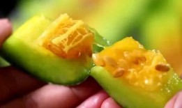 茂名网红吃瓜,揭秘网络红人的幕后故事