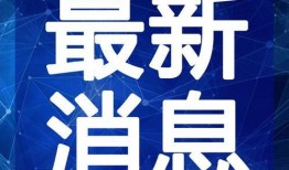 蛋仔小羊最新爆料视频,揭秘神秘游戏内容与玩法