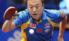 马琳爆料王励勤视频播放,一场意外的网络风波