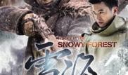 电视剧雪海在线观看,探寻神秘雪域的传奇之旅