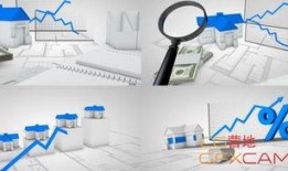 爆料放大镜视频素材,视频素材背后的真相解析