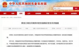 宝鸡爆料微博最新消息新闻,突发事件引发社会关注